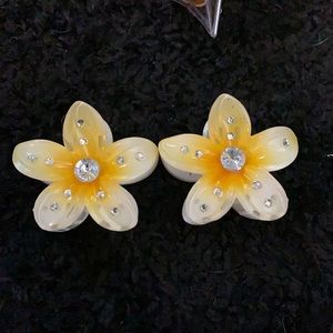 3 for 5$ flower hair clips.Message me for info.